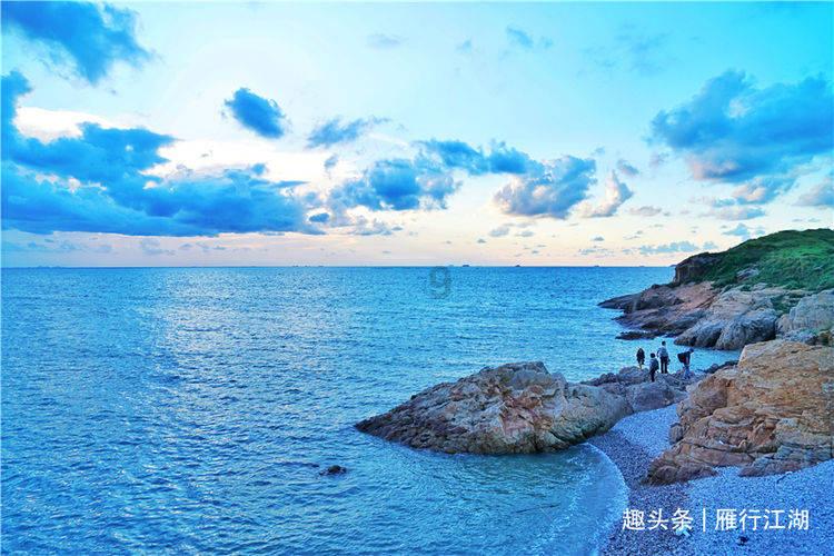 动物帮帮忙保卫家园
